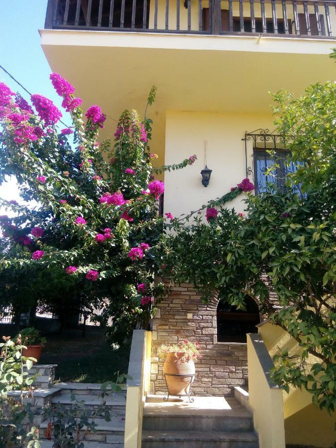 Sundays Family House/Studio نيكيتي المظهر الخارجي الصورة
